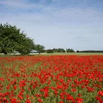 Lägenhet Landhauswohnung In Kroepelin Mit Grossem Garten