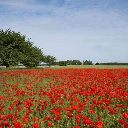 Apartment Landhauswohnung In Kroepelin Mit Grossem Garten