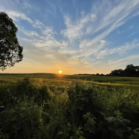 Landhauswohnung In Kroepelin Mit Grossem Garten Apartment Boldenshagen