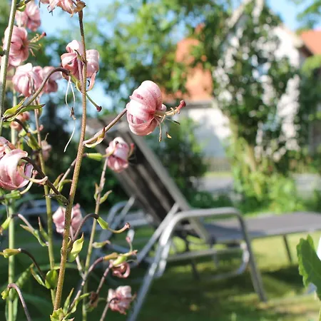 Landhauswohnung In Kroepelin Mit Grossem Garten *